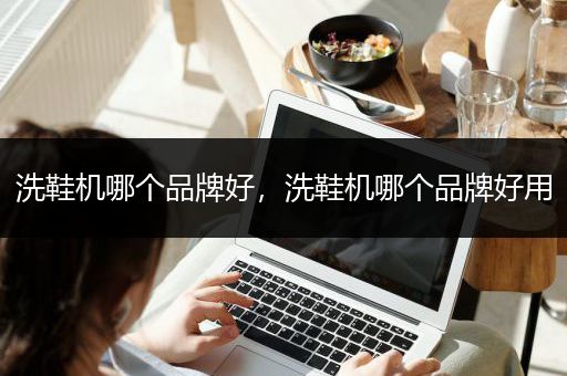 洗鞋机哪个品牌好，洗鞋机哪个品牌好用